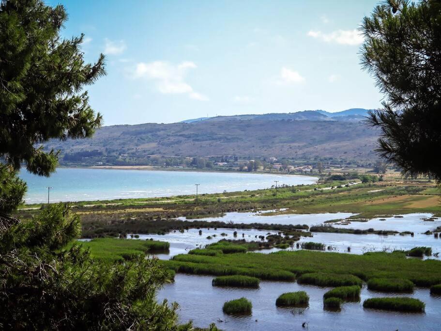 Villa Rania: Ευάερη Βίλα Με Θέα Τη Θάλασσα Lixouri Exterior foto