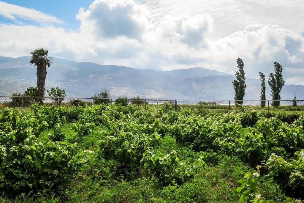 Villa Rania: Ευάερη Βίλα Με Θέα Τη Θάλασσα Lixouri Exterior foto